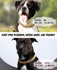 HQSHNY collar cubano para perro francés, estilo moderno y atemporal.