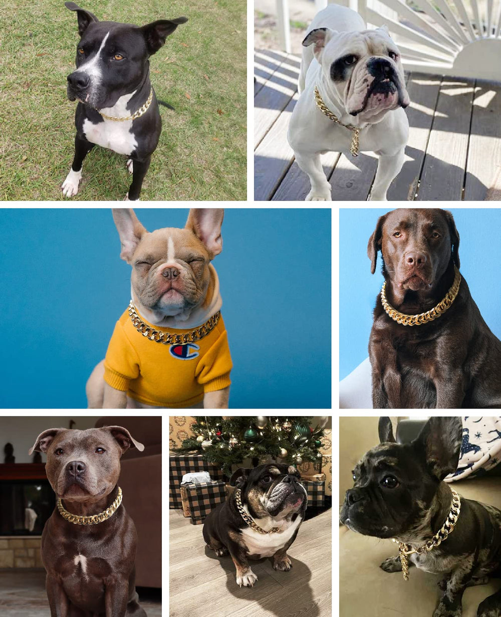 HQSHNY empaque regalo, collar de oro para perros, regalo ideal.