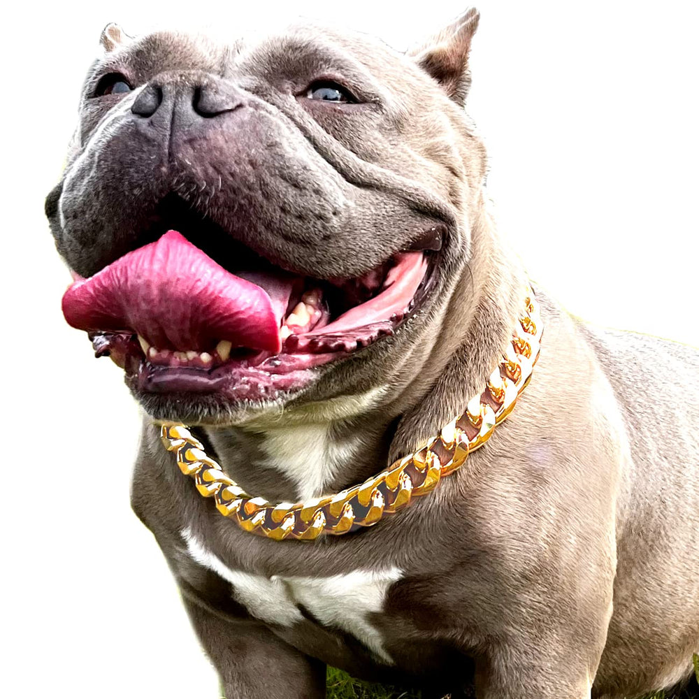 HQSHNY collar oro, cadena cubana 7/8 pulgada, elegante para paseos diarios