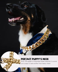 HQSHNY collar oro para perro, tallas 16–27 pulgadas, ajuste cómodo