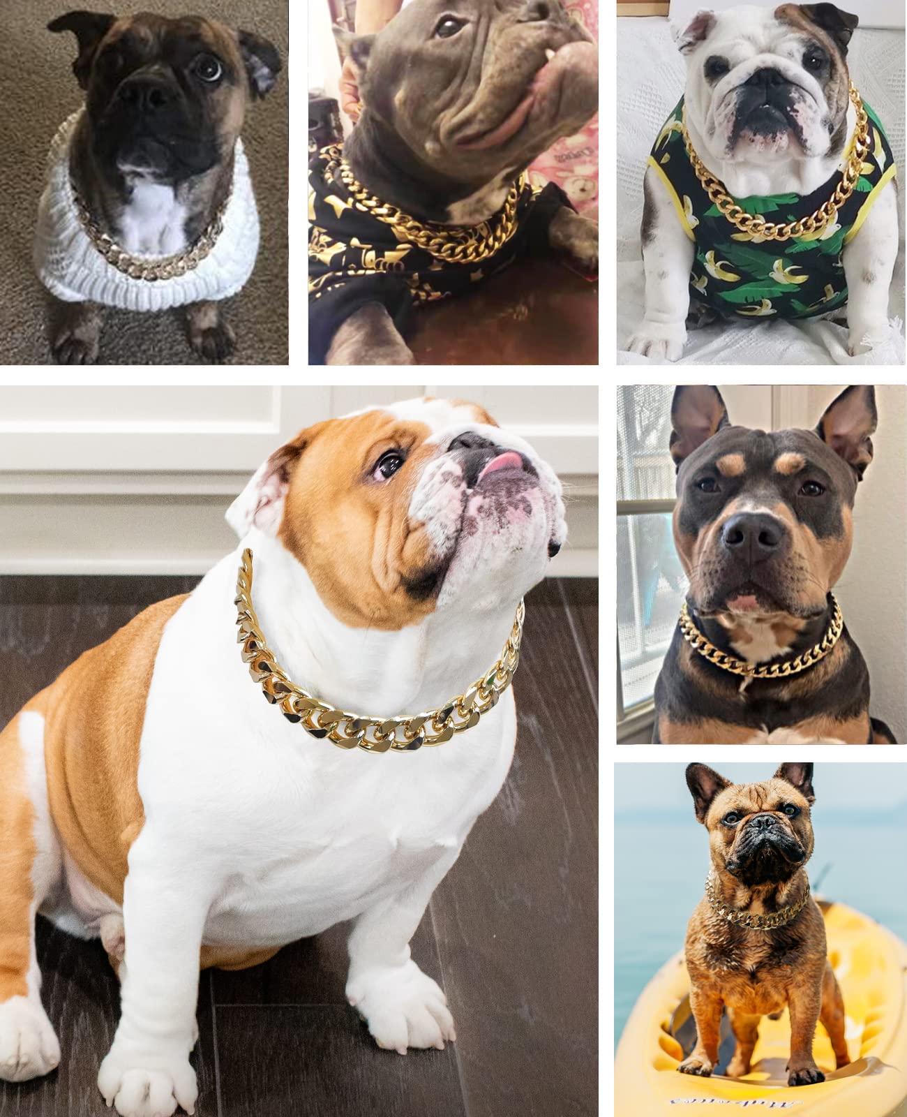 HQSHNY collar oro para perro, uso diario con estilo