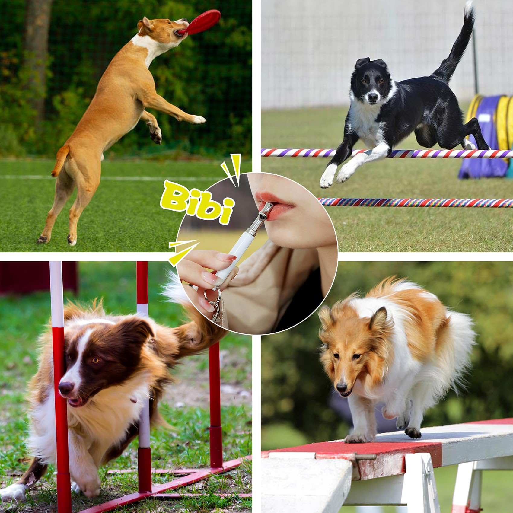 HRYYDS apto para todas las razas: ideal para perros