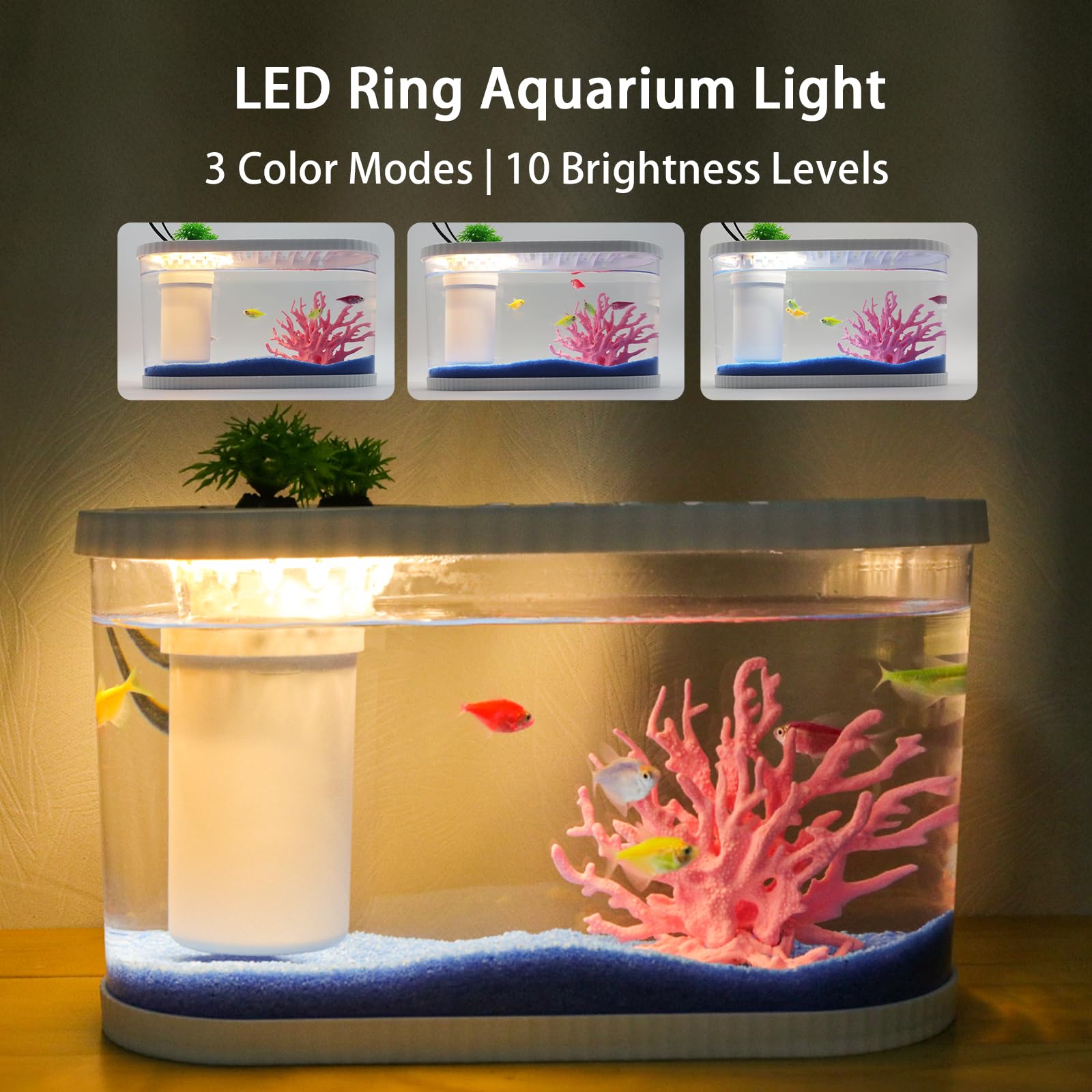 HSIFMATE luz LED ajustable para crear ambiente relajante en la habitación