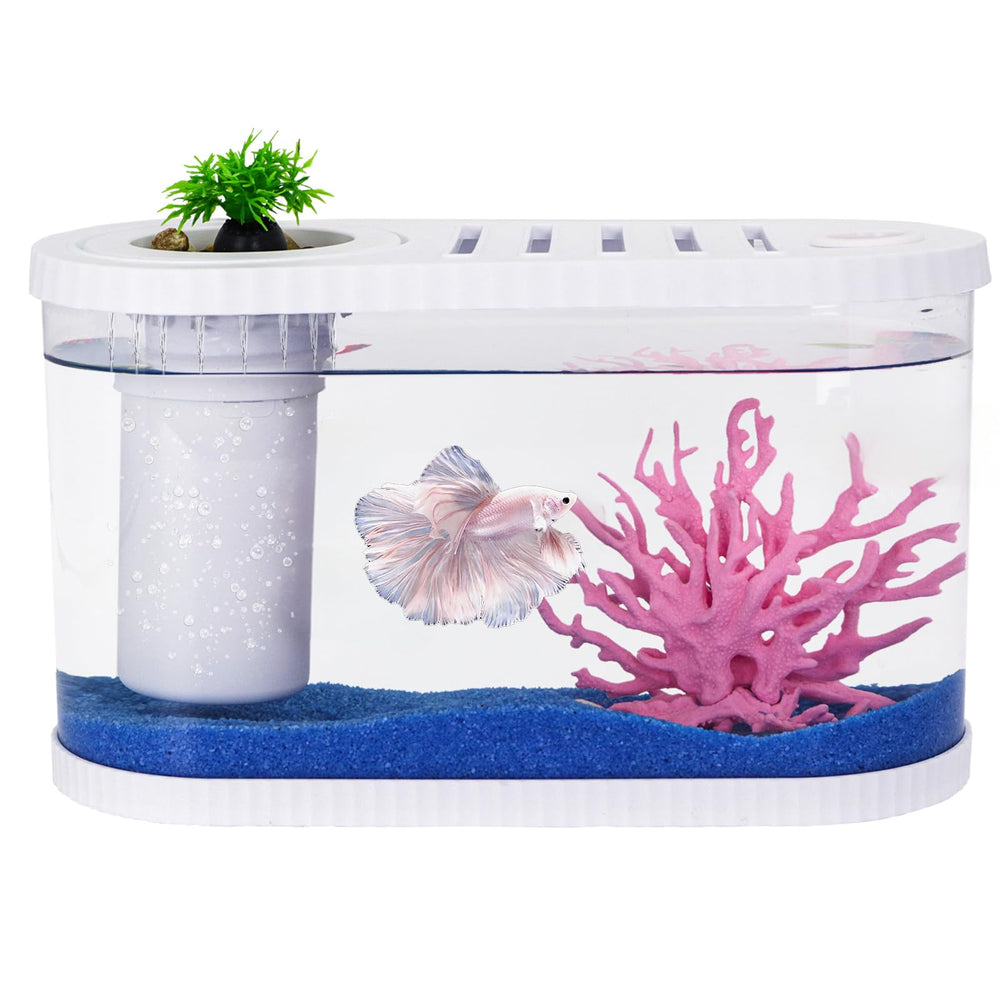 HSIFMATE tanque 2,2 galones en escritorio, ideal para iniciar un acuario compacto con peces pequeños