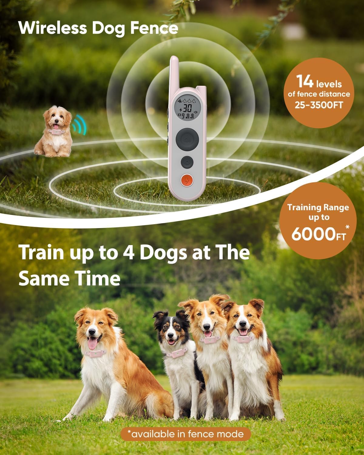 Htcuto: control remoto de gran alcance para entrenamiento de perros.