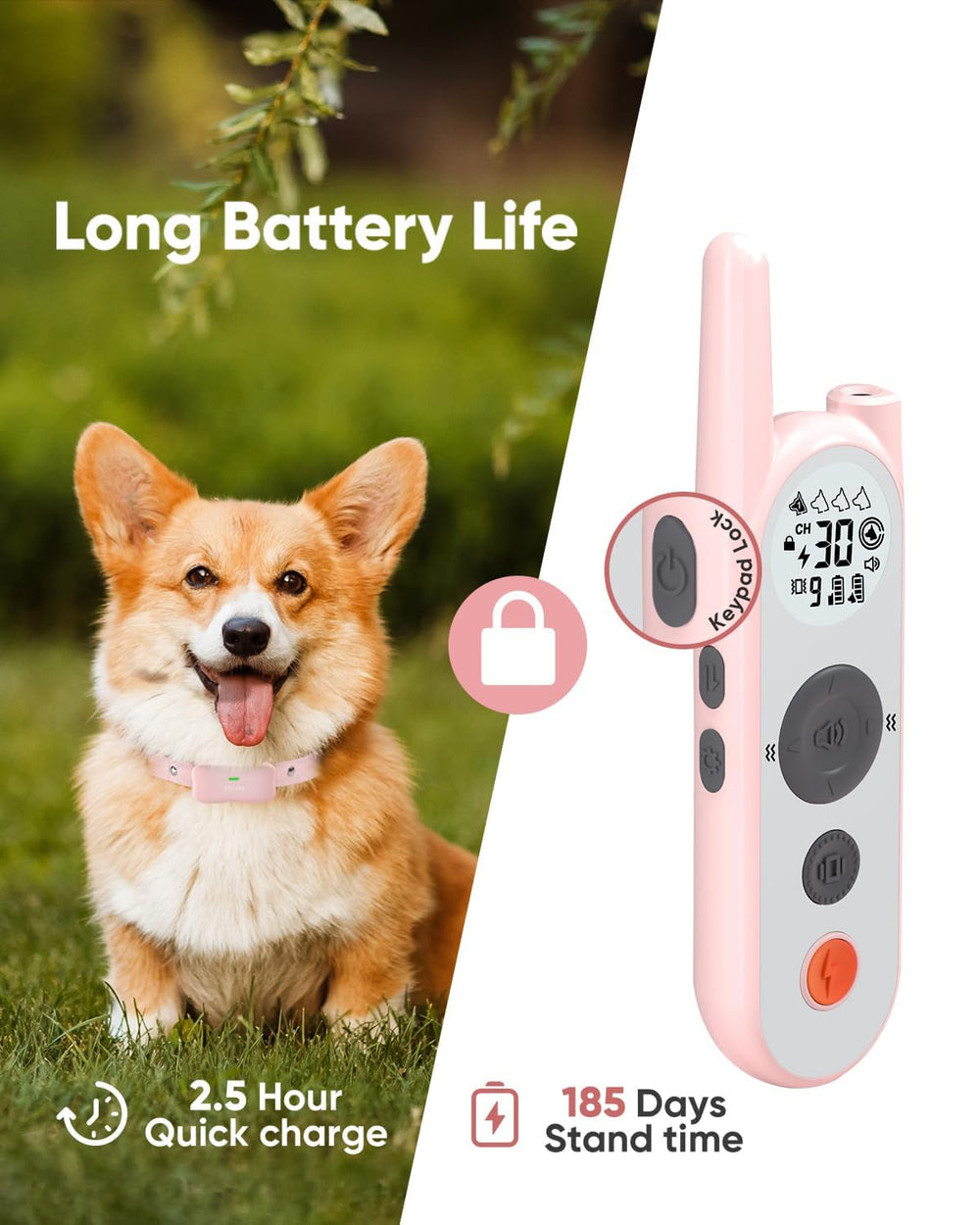 Htcuto: perro utilizando la cerca de entrenamiento en interior y exterior.
