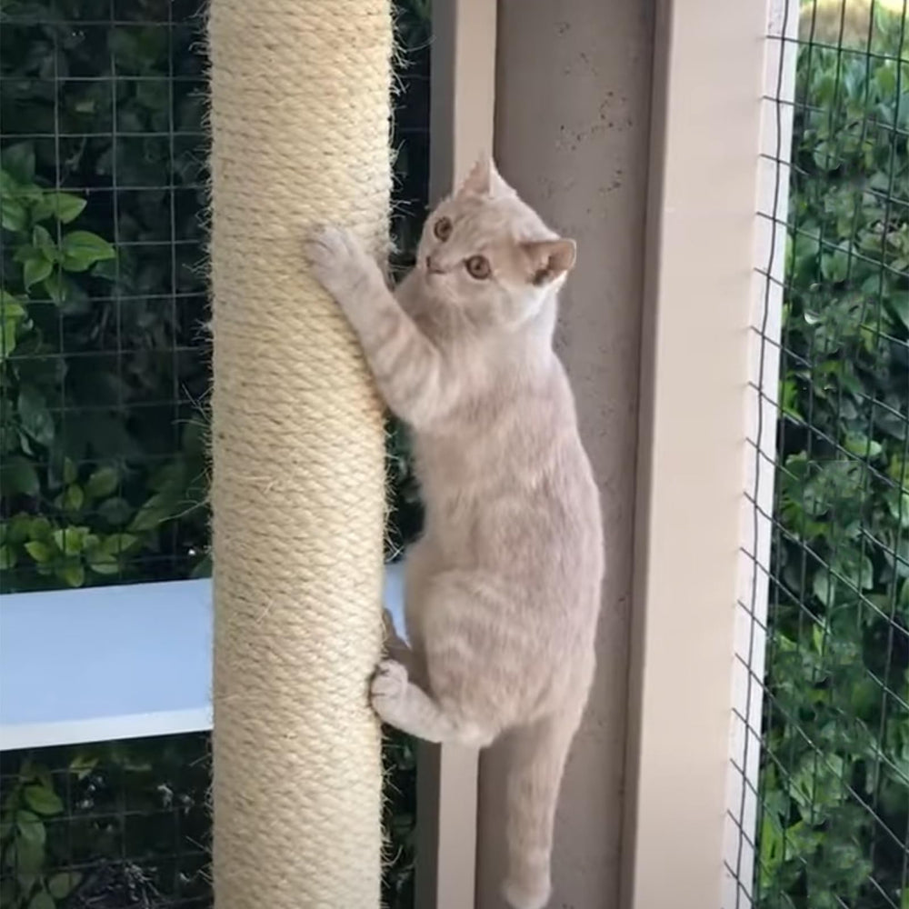 HTJZWG cuerda sisal tono natural para acabado estético.