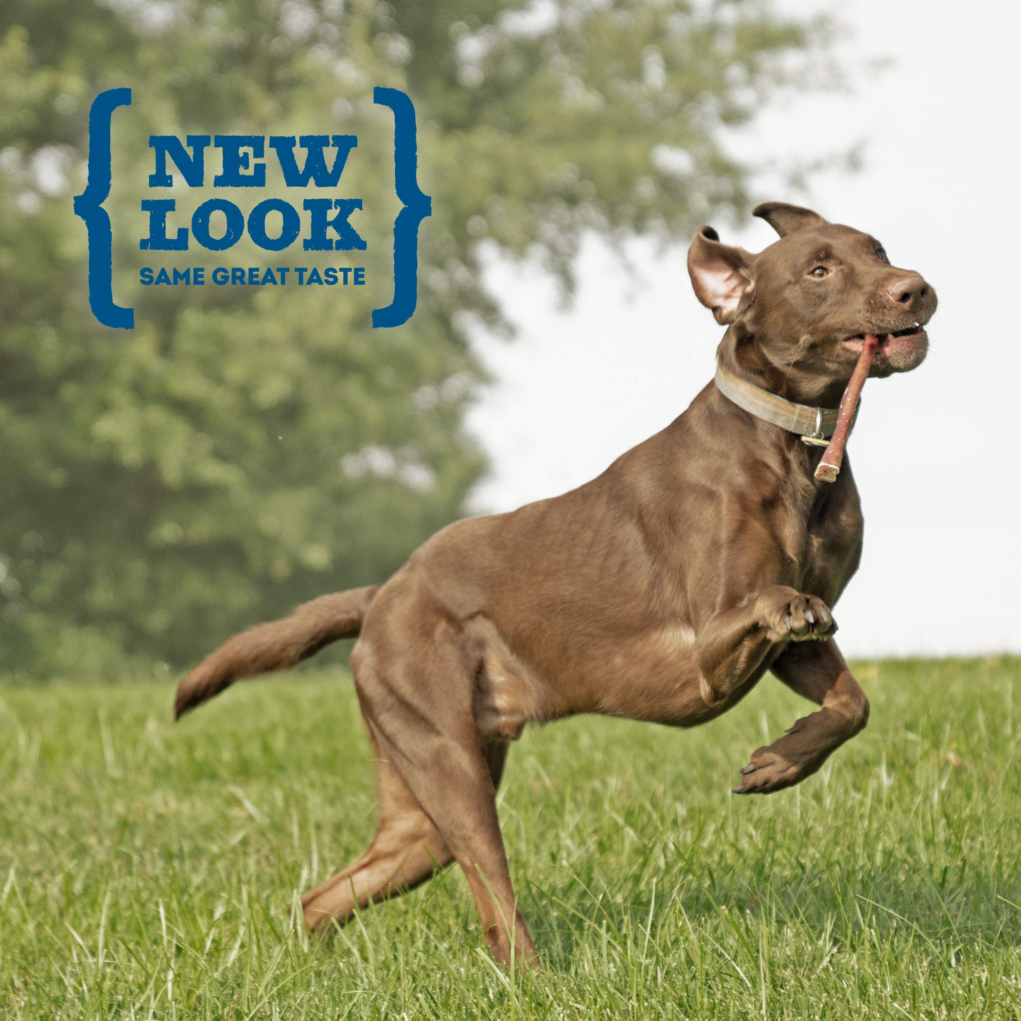 Best Bully Sticks: Hueso de vaca con aroma natural para masticar.
