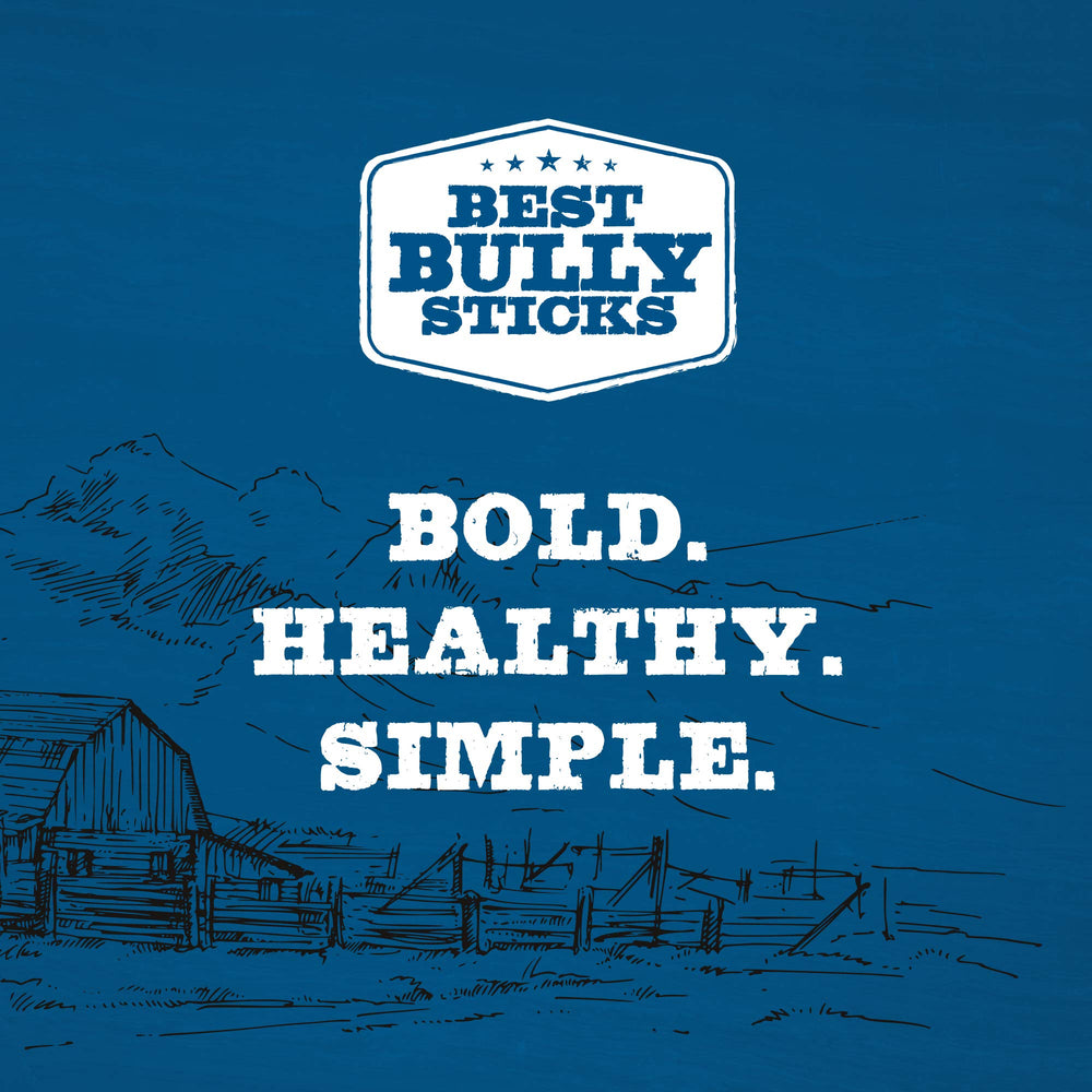 Best Bully Sticks: Hueso para días largos, adecuado para perros activos.