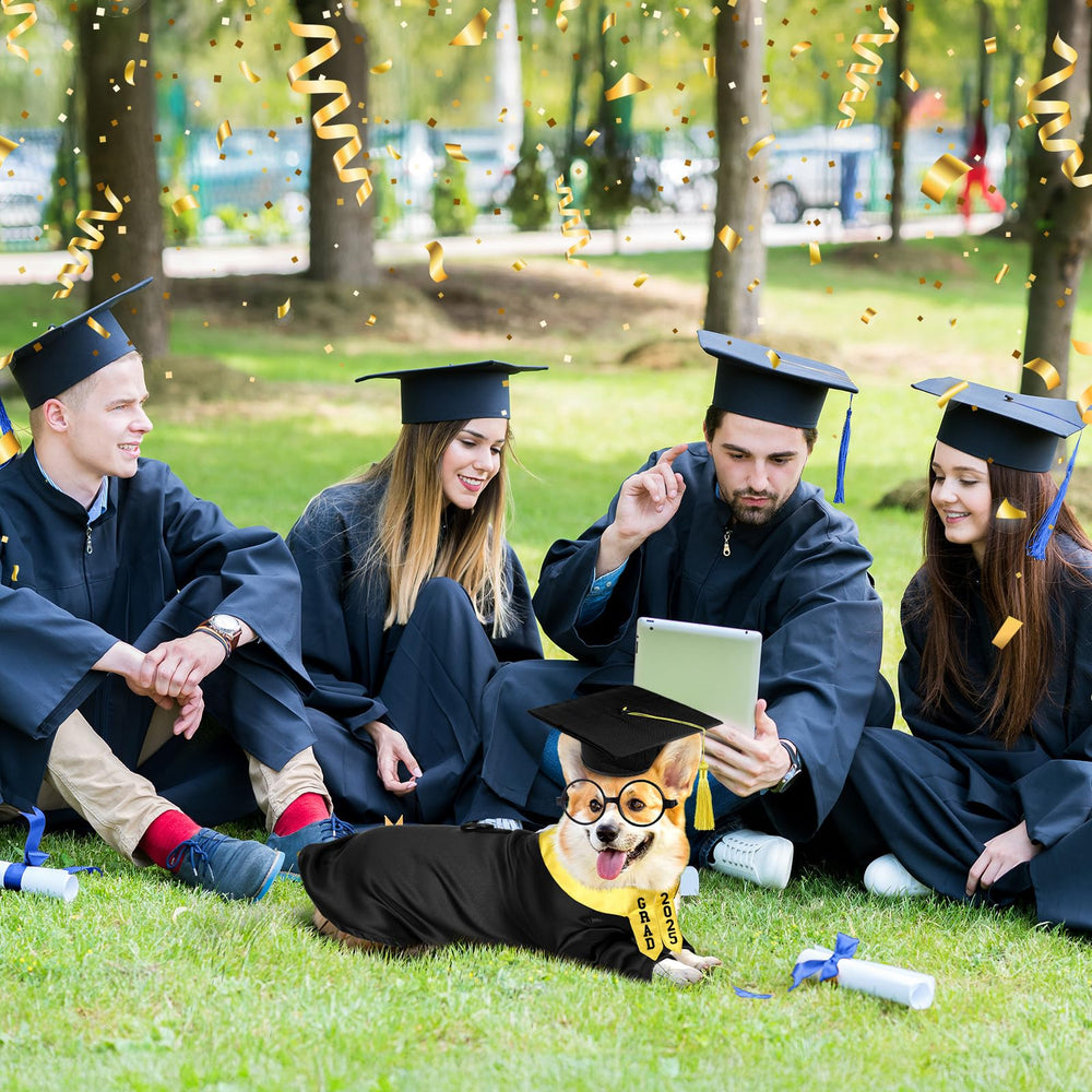 Mascota posa con conjunto Huhumy en sesión de graduación, perfecto para fotos.