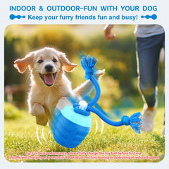 Huimpet bola interactiva para perro con cuerda para mayor interacción.