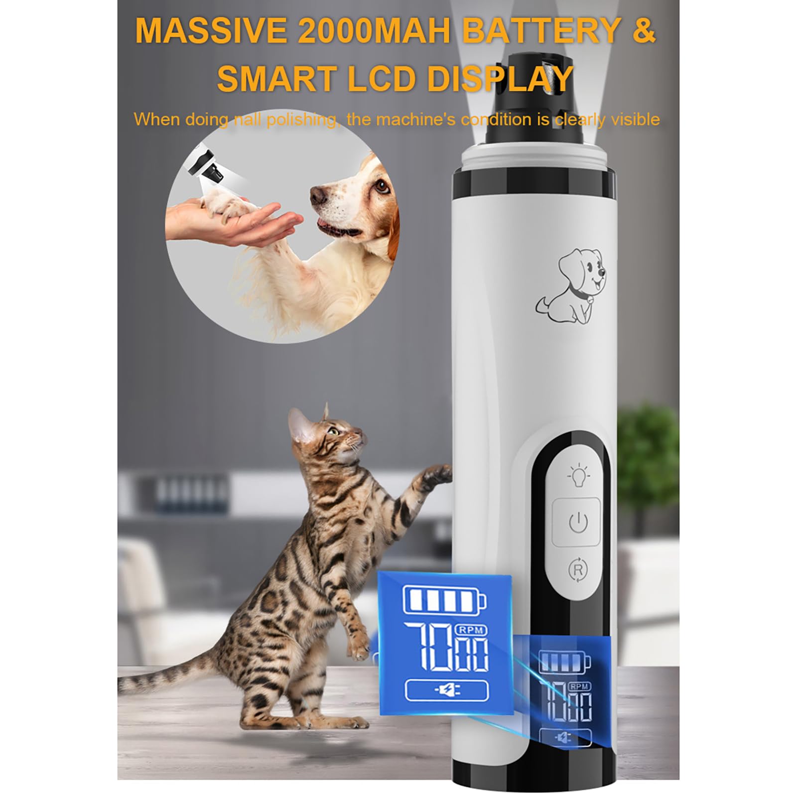 Guía para mascotas sensibles con Huiteng XR y desensibilización progresiva.