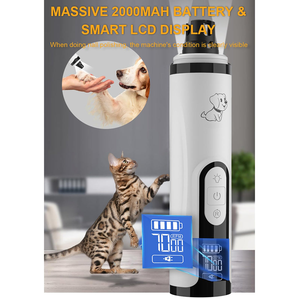 Guía para mascotas sensibles con Huiteng XR y desensibilización progresiva.