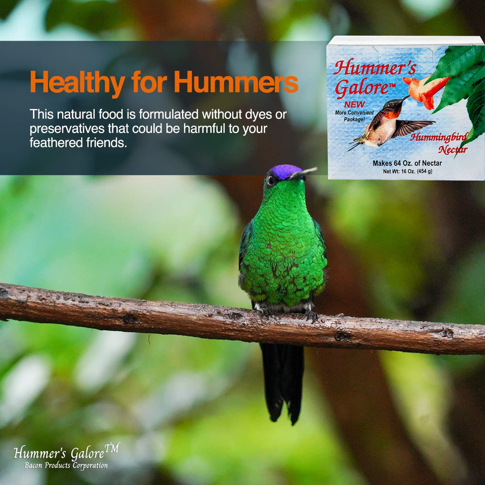 Hummer's Galore – Néctar sin colorantes para una alimentación limpia.