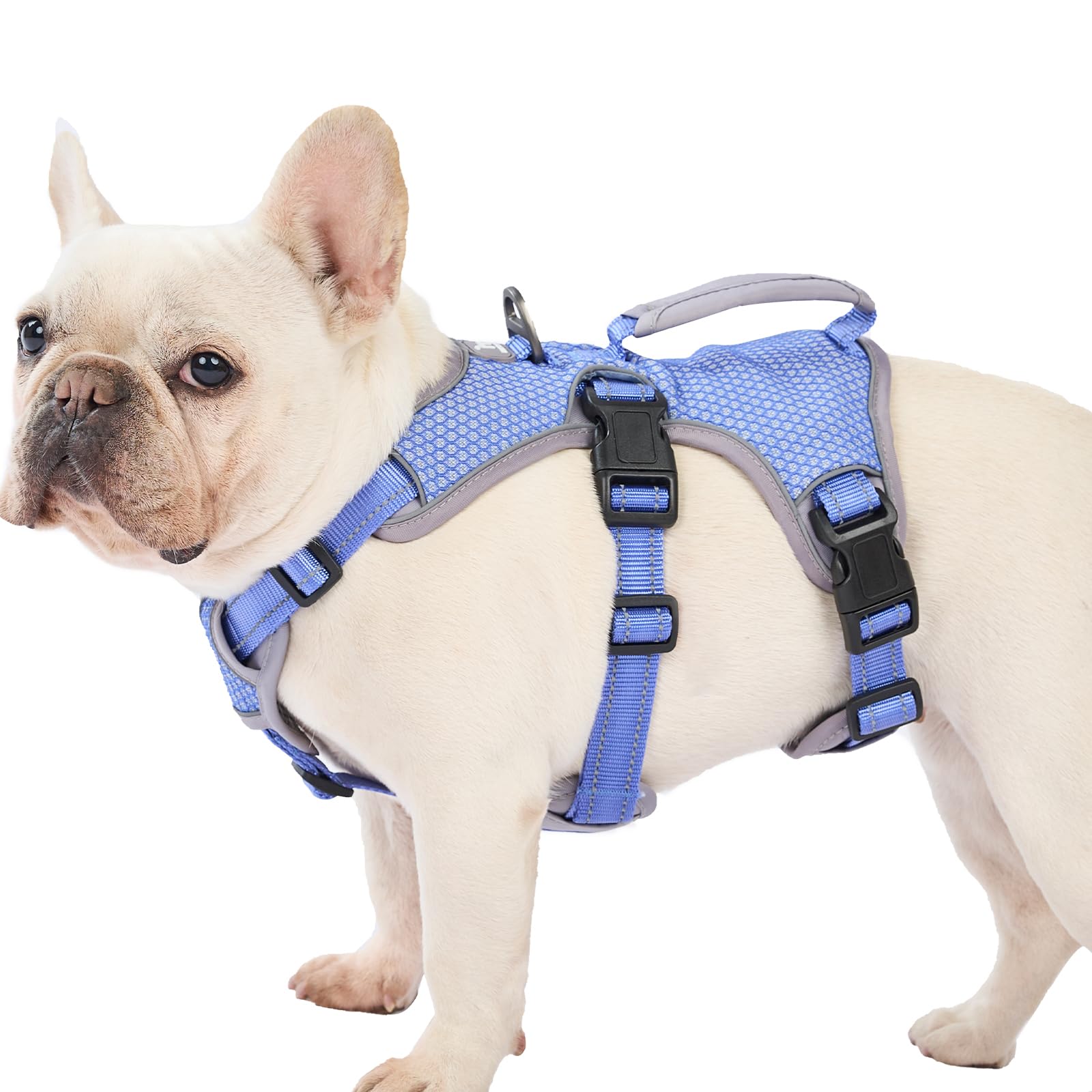 Huntboo arnés a prueba de escape azul muestra ajuste cómodo para paseos diarios.