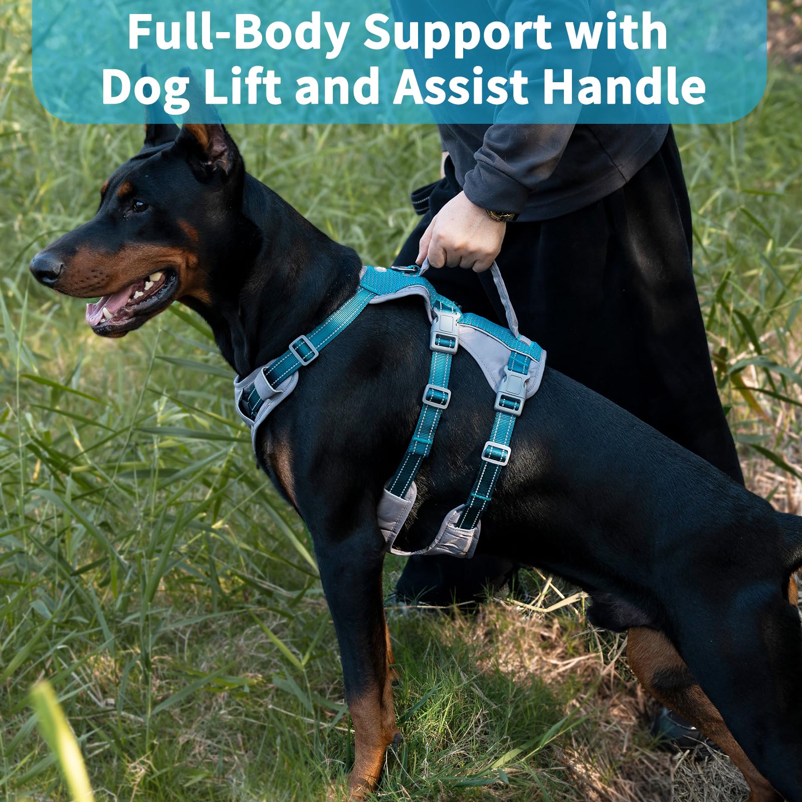 Huntboo arnés de malla transpirable para mayor comodidad durante el paseo.