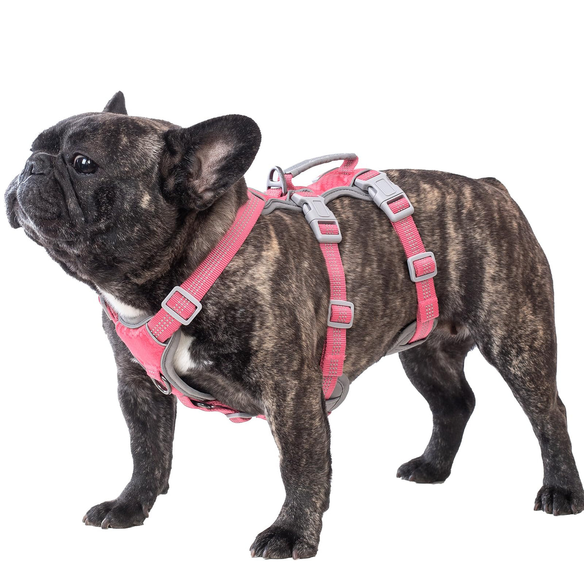 Huntboo arnés para perro a prueba de fuga para caminatas seguras