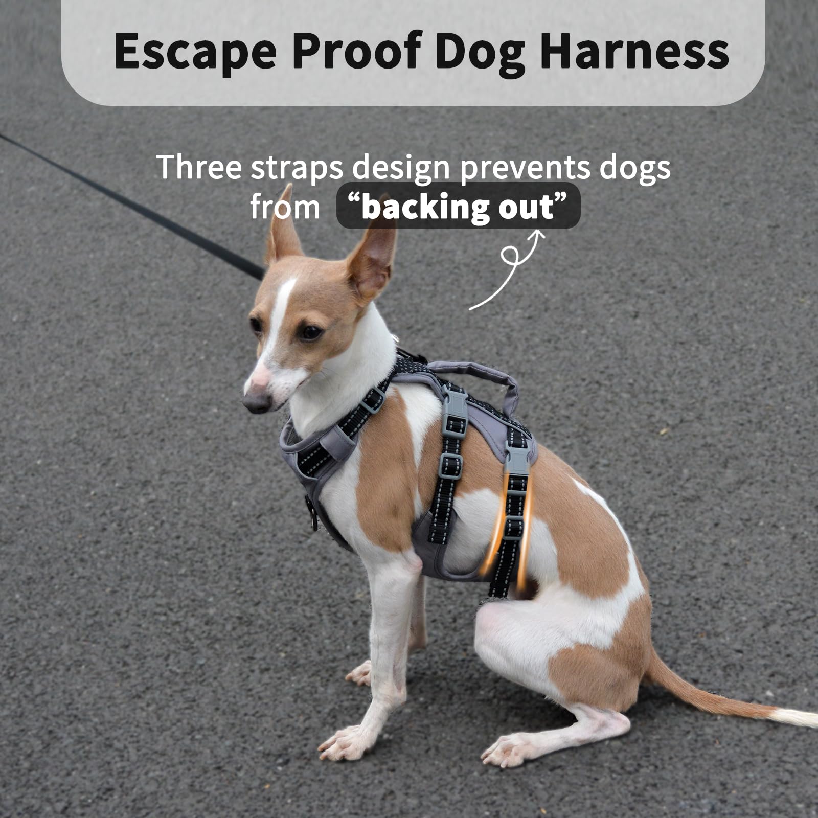 Huntboo arnés perro ajuste seis puntos para un encaje cómodo