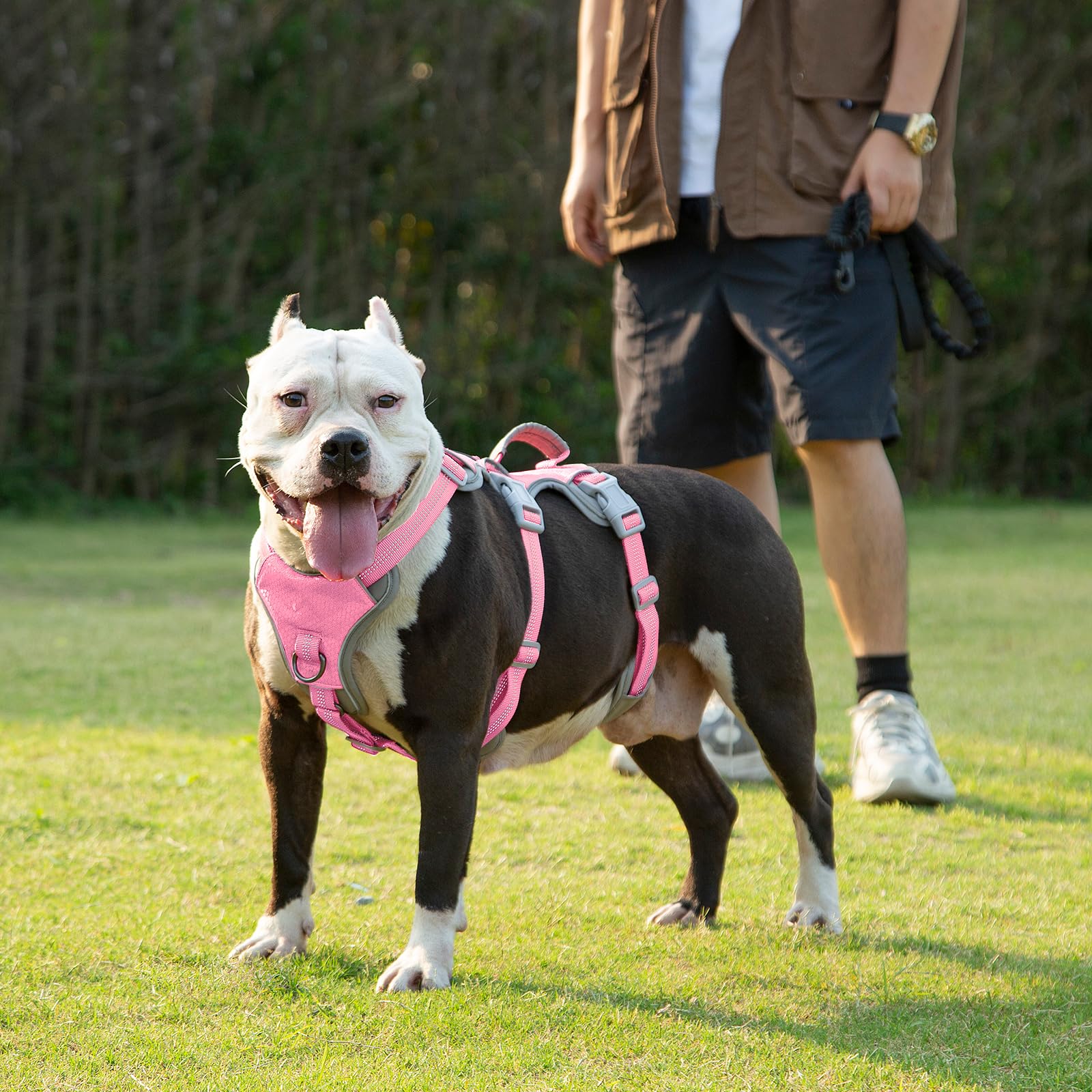 Huntboo arnés diario para caminatas y entrenamiento al aire libre