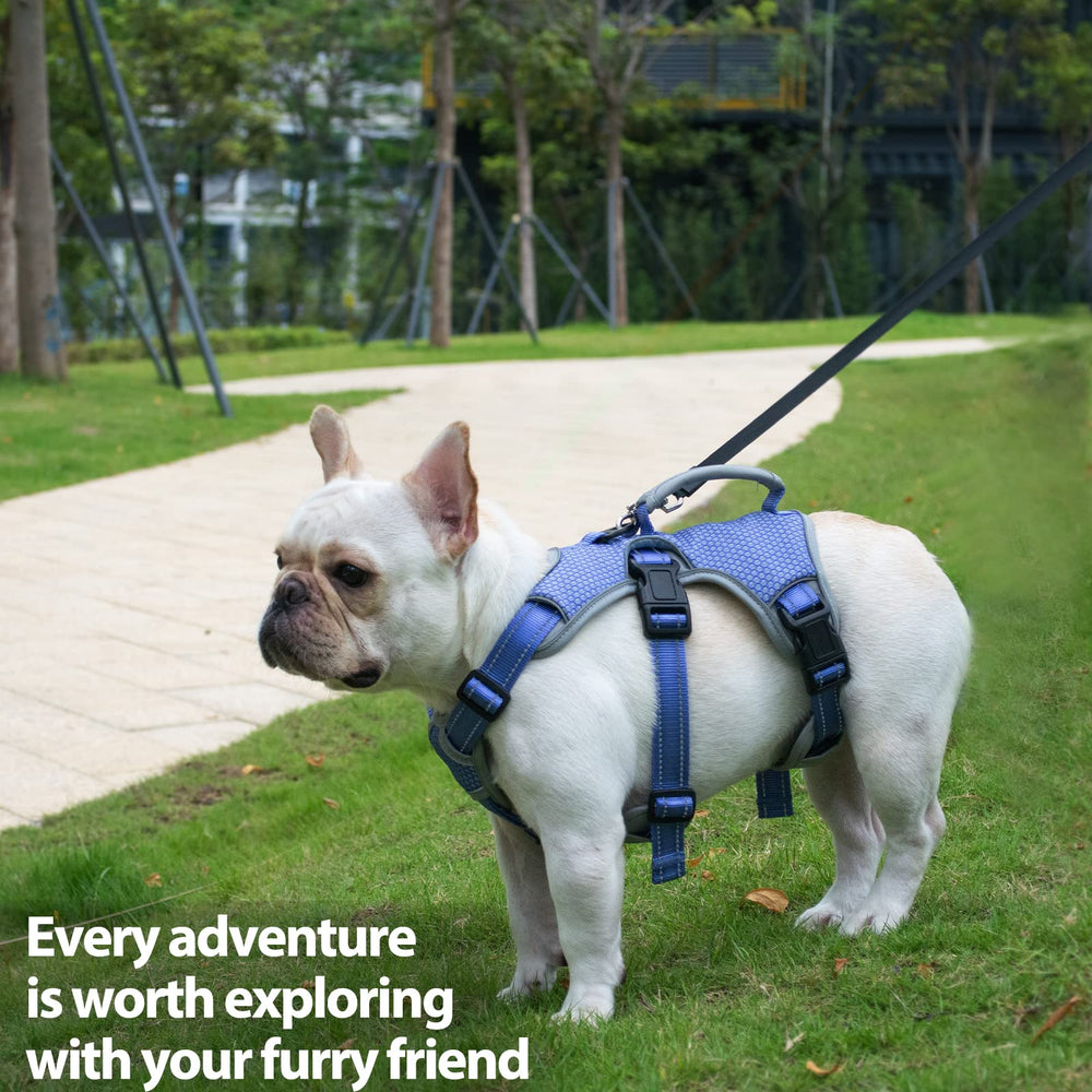 Huntboo arnés de uso diario, cómodo y versátil para entrenamiento y paseo.