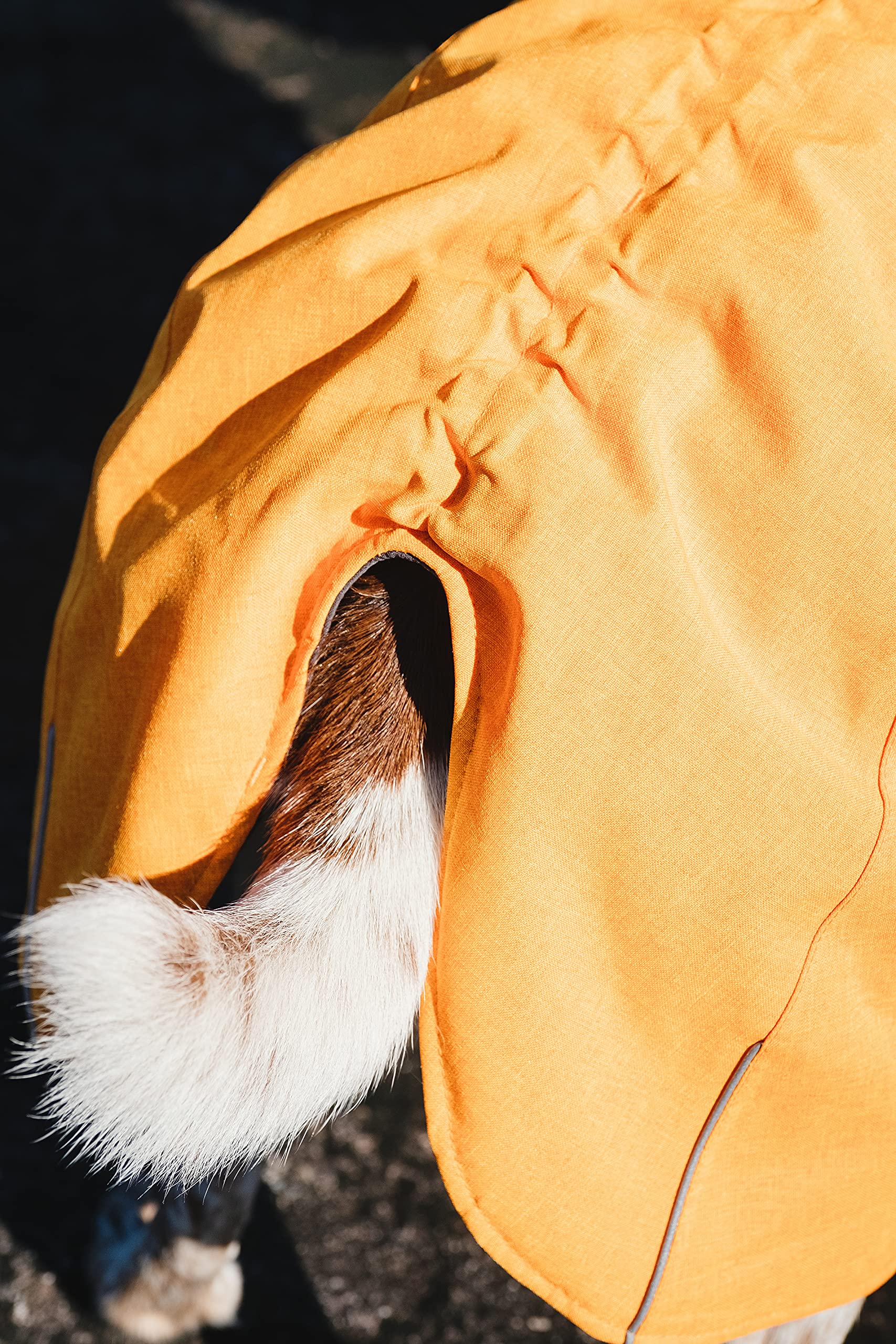 Hurtta Expedition Parka detalle de tejido que ofrece protección ligera contra el frío.