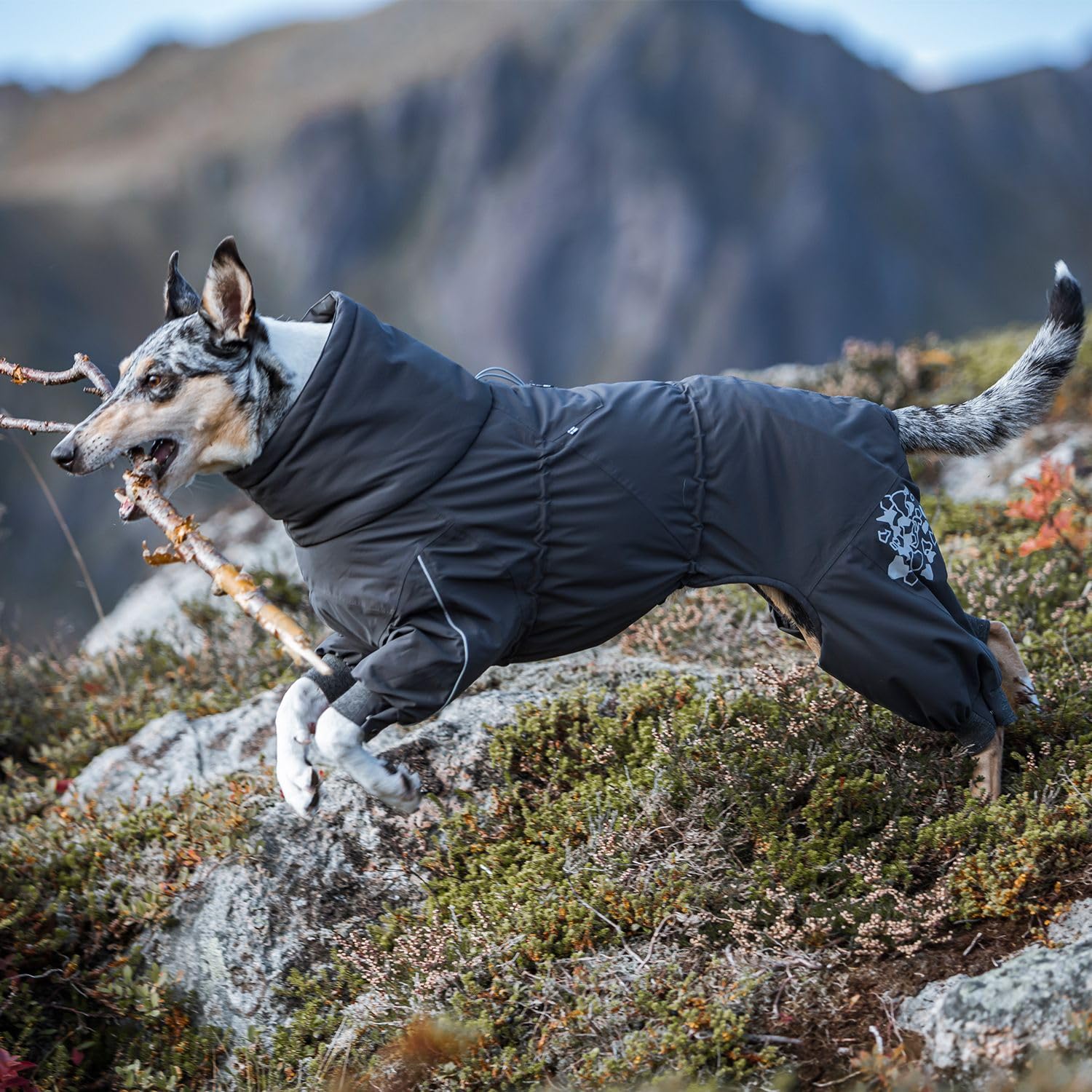 Hurtta Extremo Overol tejido impermeable para días fríos y lluviosos.