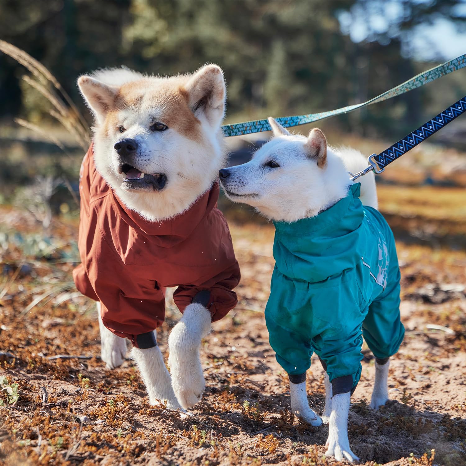 Protección contra climas húmedos con Mudventure Overall ECO, mantiene al perro seco.