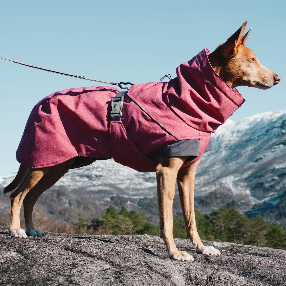 Parka de expedición Hurtta para perro, detalle cintura ajustable, ofrece confort durante el juego.