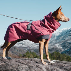 Parka de expedición Hurtta para perro, detalle cintura ajustable, ofrece confort durante el juego.