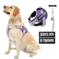 HUSDOW arnés de servicio para perro con asa, ideal para paseos diarios.