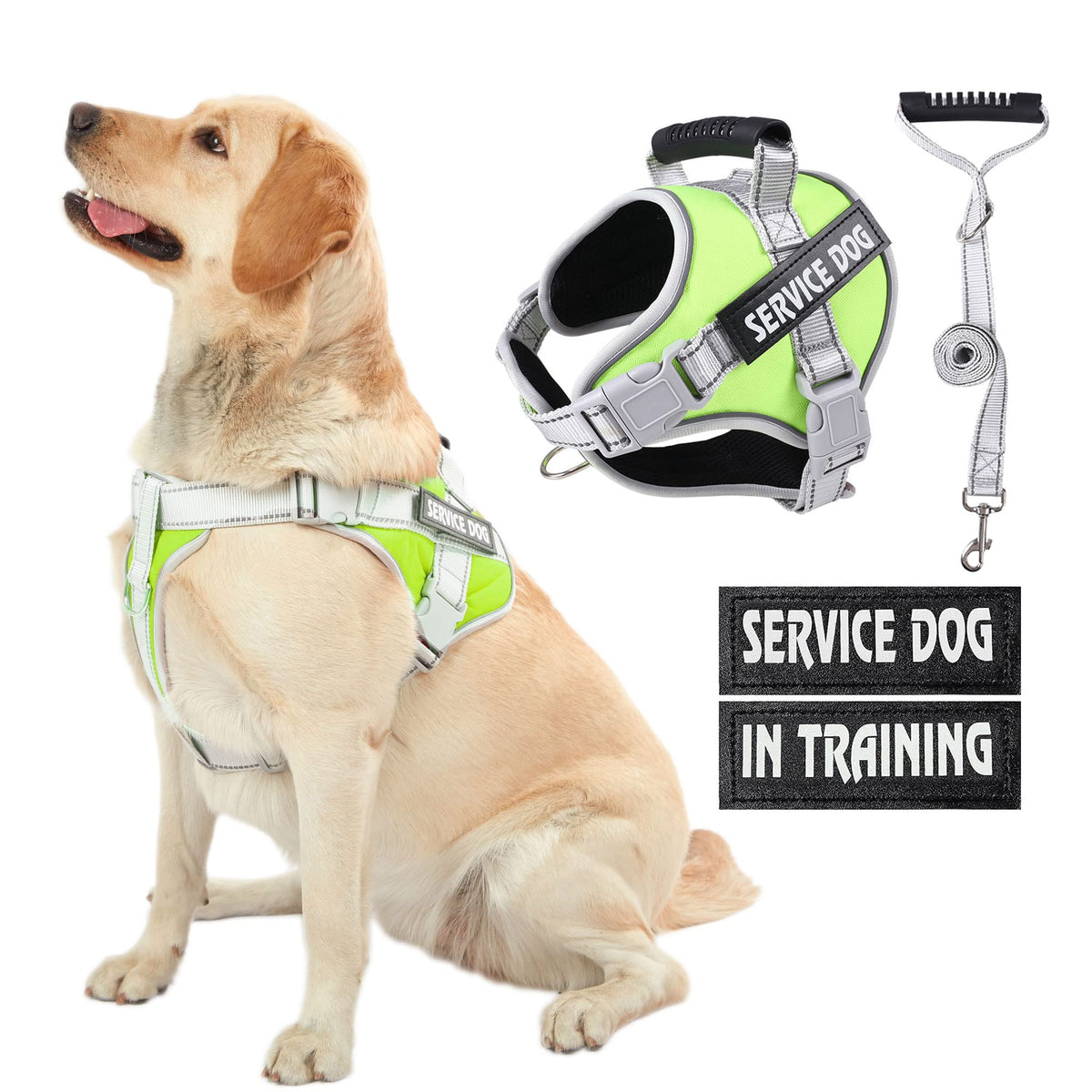 Arnés HUSDOW para perro verde ajustable, cómodo y seguro para crecimiento y paseos constantes.