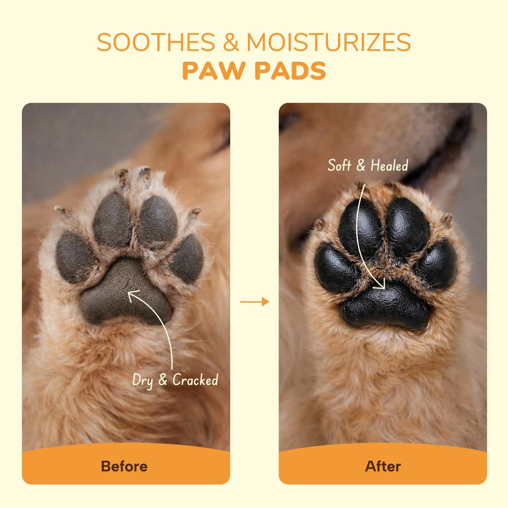 Aplicación fácil de HUTVRACC lick-safe para patitas, absorción rápida y suave.
