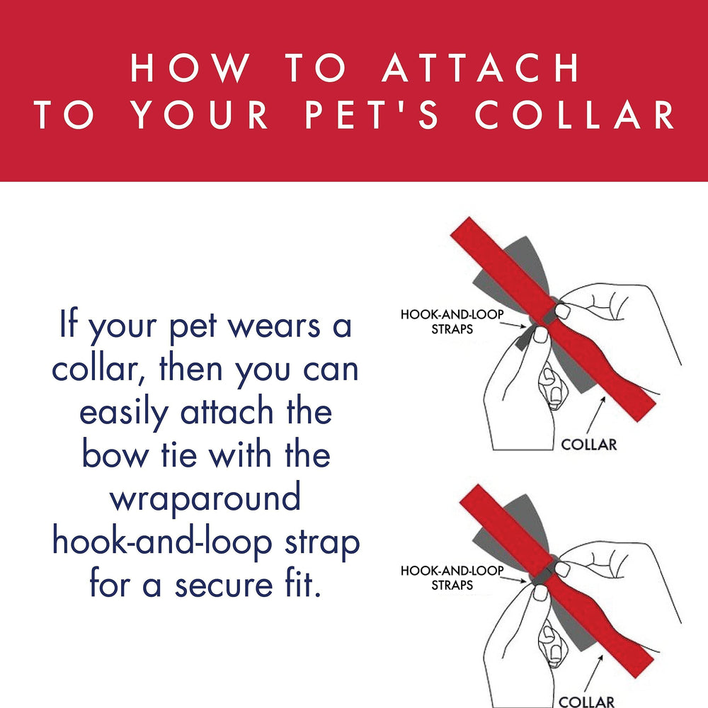 Accesorio versátil para collar Huxley y Kent, apto para perros y gatos de todos tamaños.