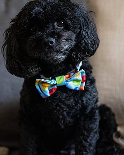 Accesorio elegante para collar con lazo azul, Huxley & Kent, para ocasiones especiales.