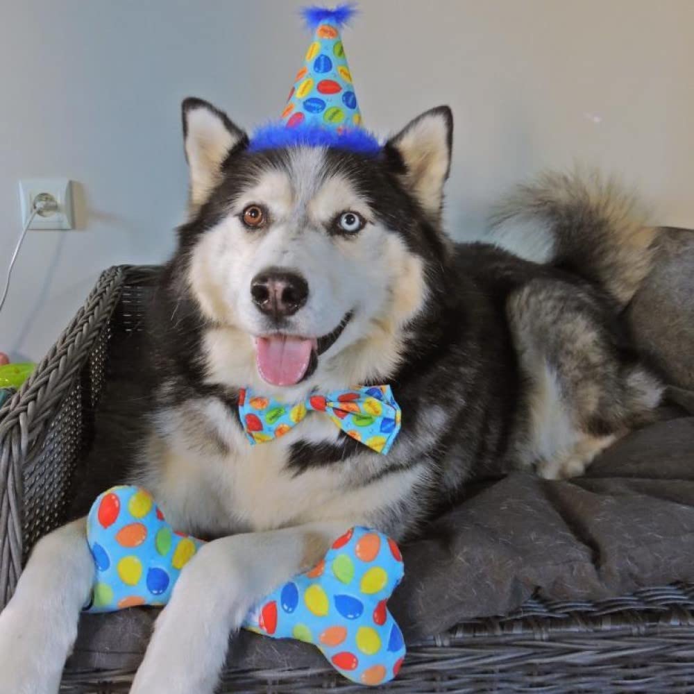 Regalo perfecto para amantes de mascotas, corbatín azul de Huxley & Kent.
