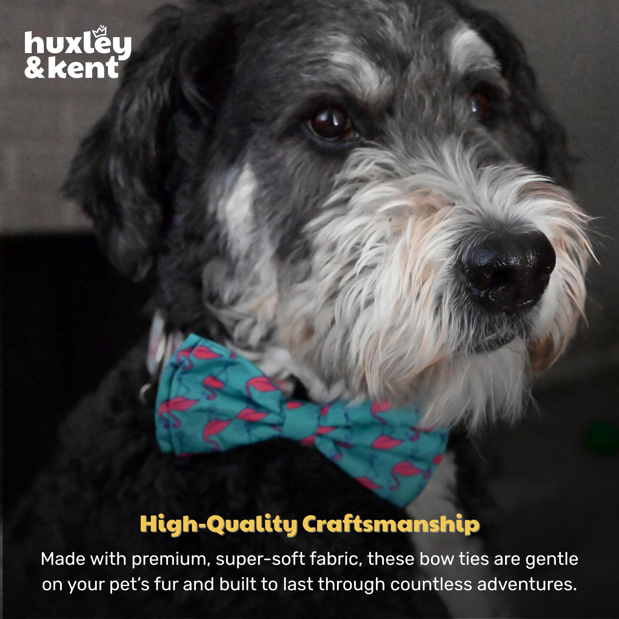 Corbatín flamenco disponible en varias tallas de Huxley & Kent para mascotas.