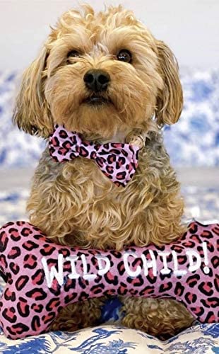 Pajarita rosa leopard Huxley Kent fácil de lavar y cuidar.