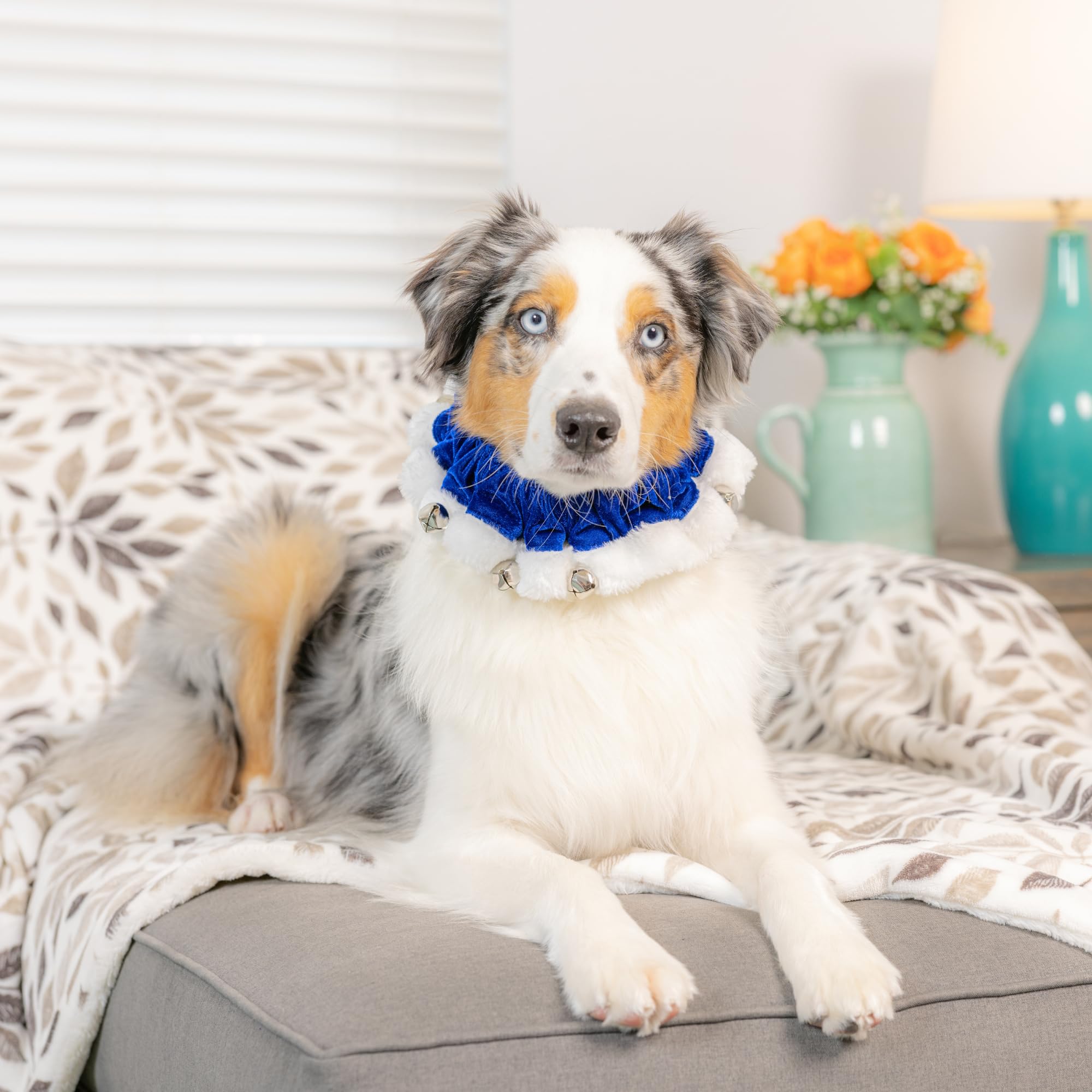 Ruff Scrunchy Huxley & Kent cierre elástico, cómodo y seguro para mascotas.