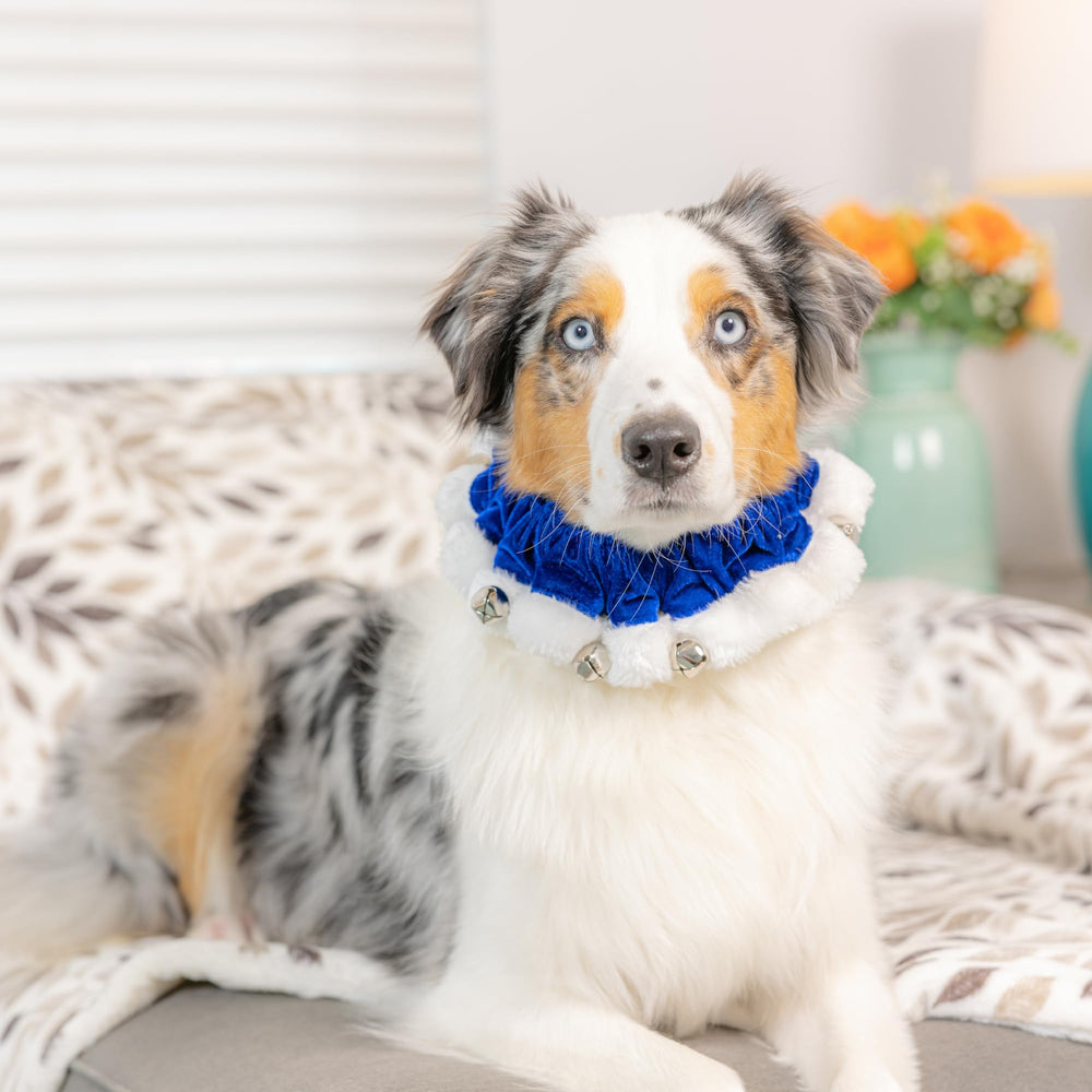 Ruff Scrunchy Huxley & Kent con cascabeles, añade sonido suave a cada paseo.