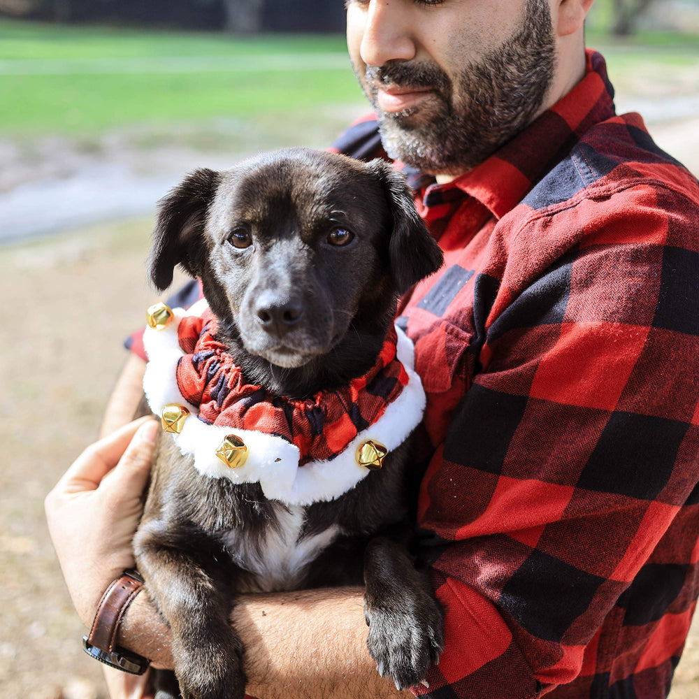 Huxley & Kent Ruff Scrunchy en tallas variadas para mascotas.