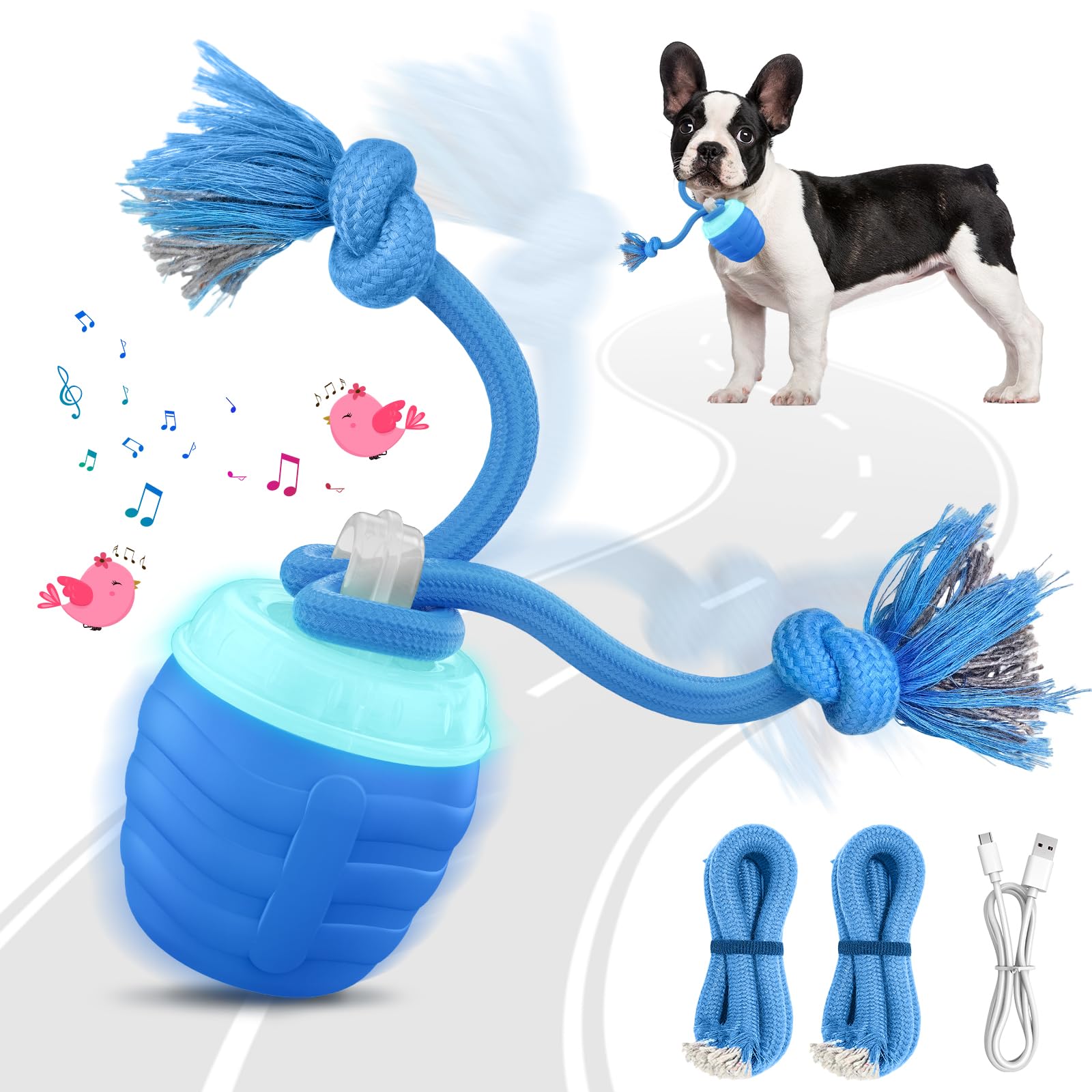 HVUATQ bola interactiva movimiento 2026, estimula juego activo y curiosidad del perro.