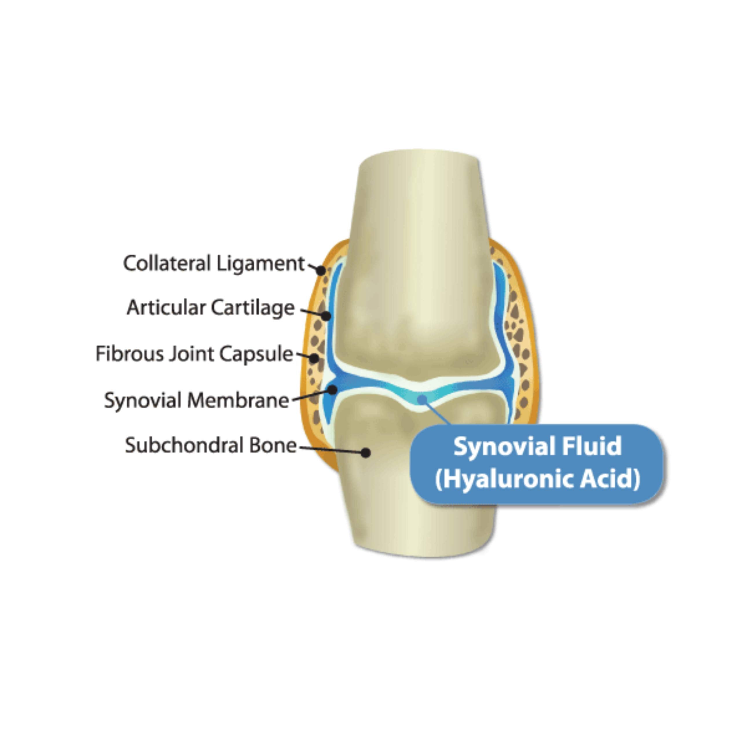 Hyalogic HyaFlex Pro-Complete: producto de alta calidad con peso molecular alto.