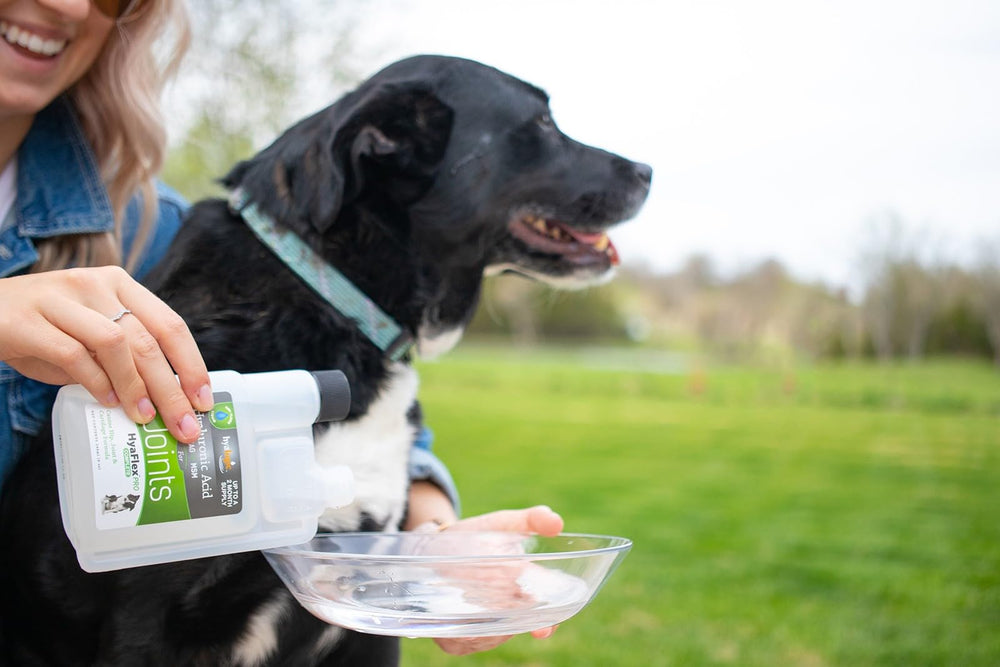 Hyalogic HyaFlex Pro-Complete: apoyo para articulaciones y cartílago en perros mayores.