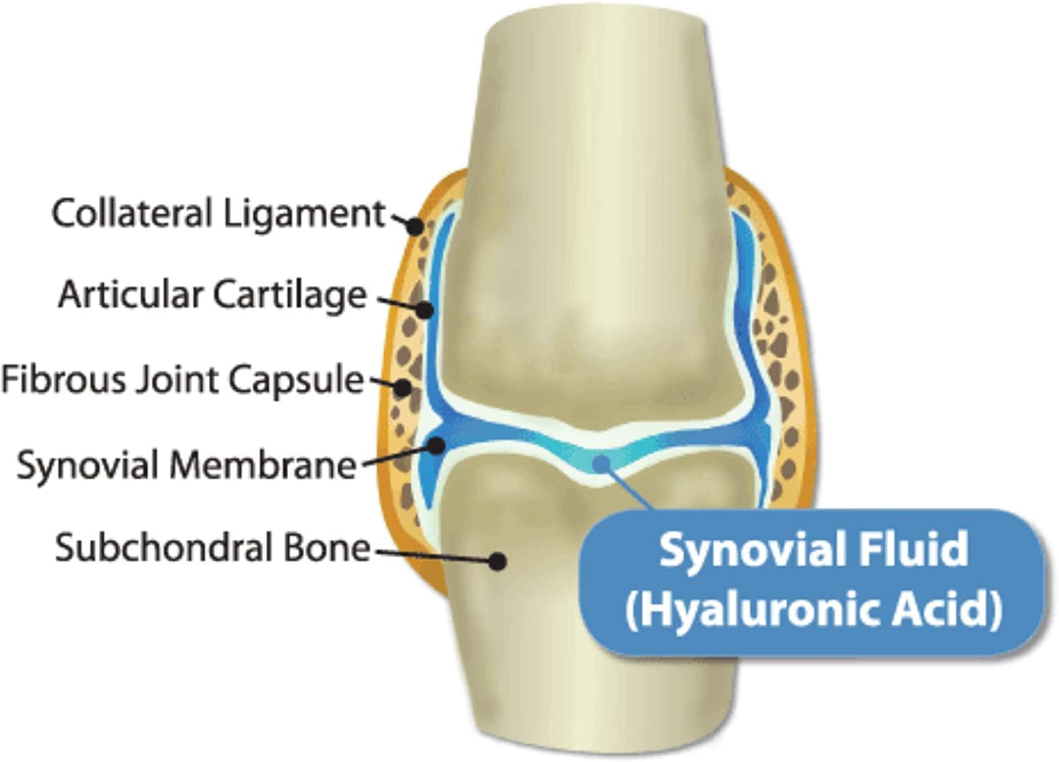 Hyalogic HyaFlex Pro Pure: fórmula con zinc para fortalecer inmunidad suave.