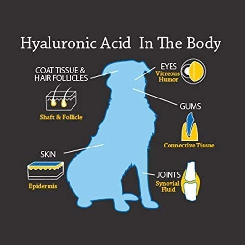 Hyalogic HyaFlex Pro Pure: adecuado para perros de todas las edades.