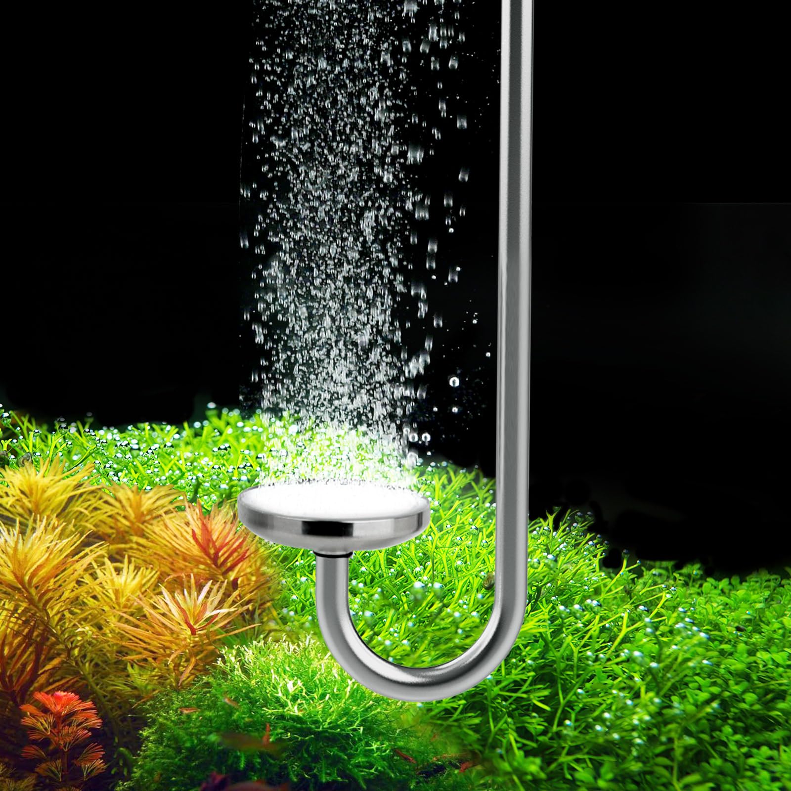 Hygger CO2: difusor de acero inoxidable con burbujas finas para acuarios.