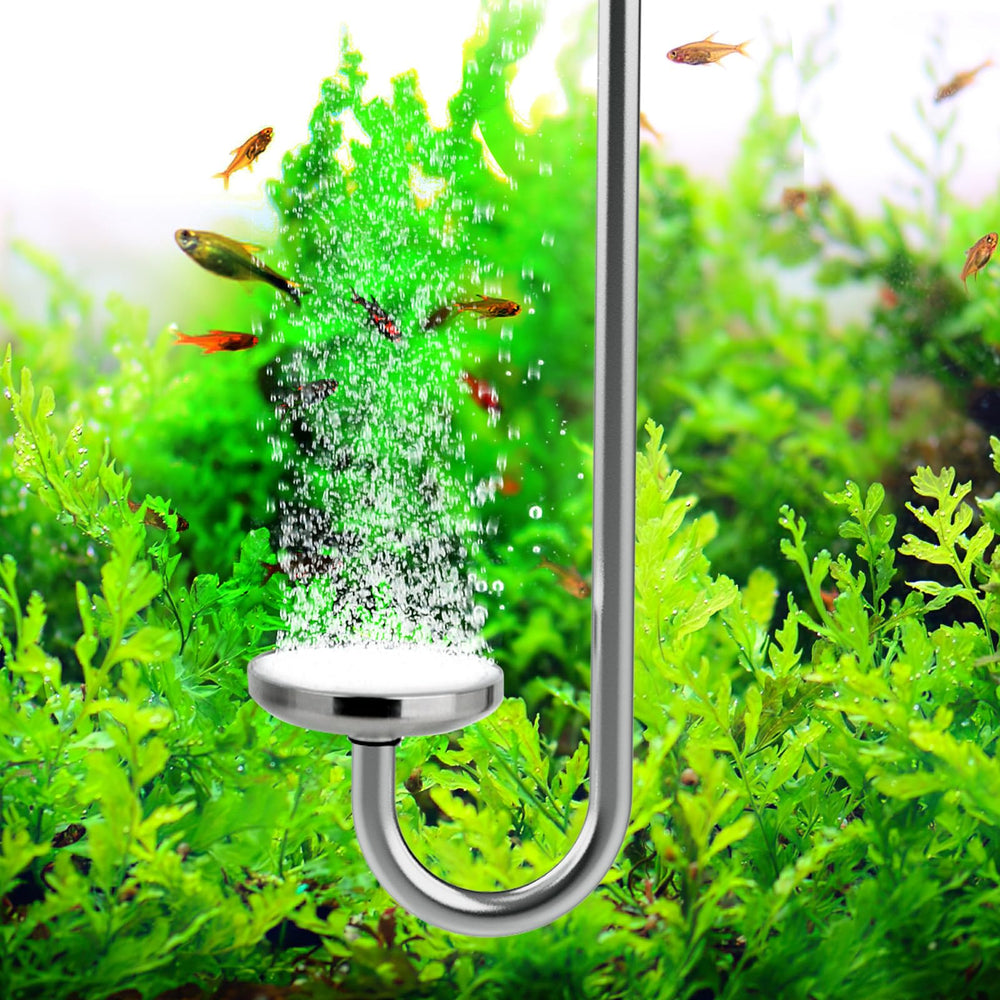 Hygger CO2: diseño clásico ayuda a difundir CO2 de forma estable.