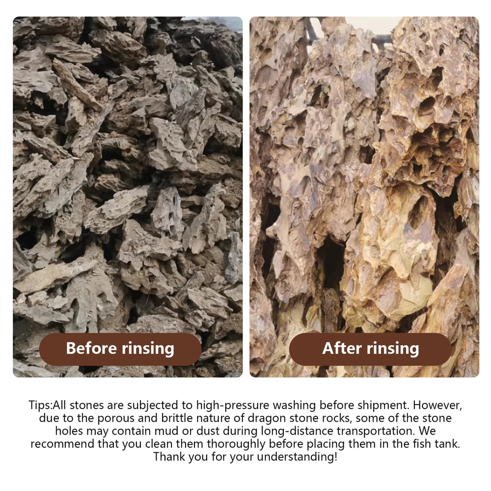 Hygger CO2 Piedra Dragón, cavernas submarinas para refugio de peces.