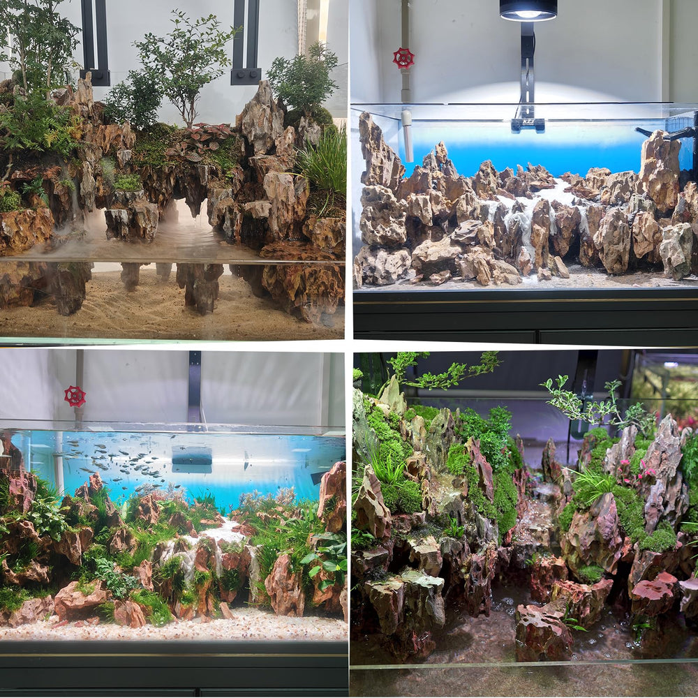 Hygger CO2 Piedra Dragón, uso en terrarios y jardines decorativos.