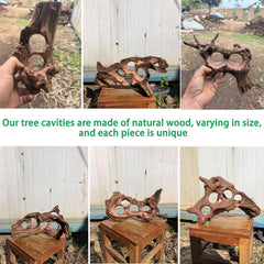 Hygger CO2 superficie porosa de madera deriva para acuario con textura atractiva